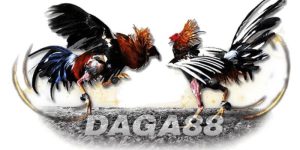 Daga88