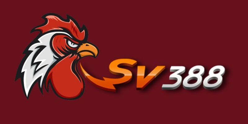 SV388 là sân chơi hội tụ nhiều ưu điểm 