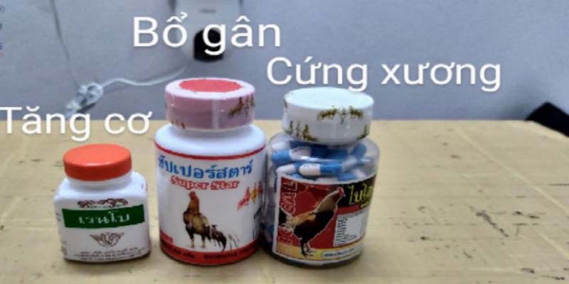 Lý do nên sử dụng thuốc bổ cho gà đá cựa sắt 